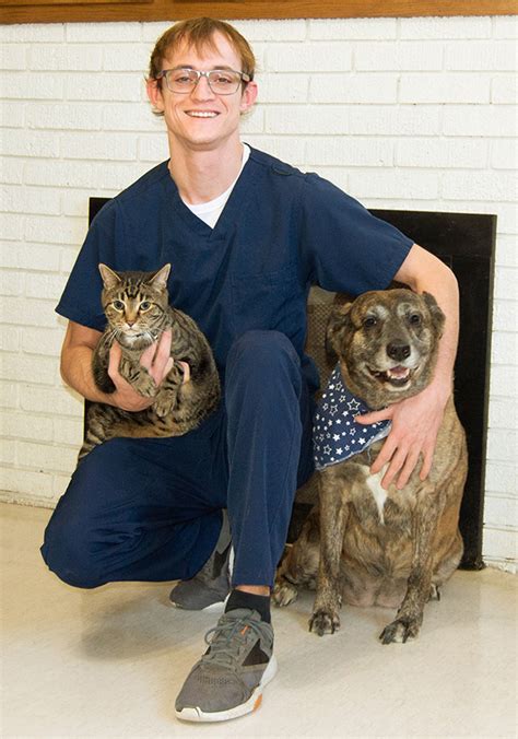 Stanton animal hospital - Serving Fayetteville area pets since 1971. Address: 1817 Green Acres Rd. Fayetteville, AR 72703. Phone: 479-443-4544 E-mail: stantonanimalhosp@gmail.com